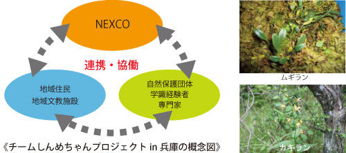 チームしんめちゃんプロジェクトin 兵庫の概念図