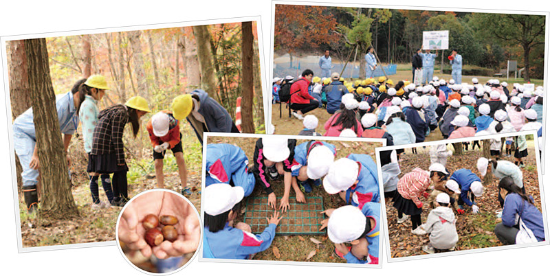 地元小学生の皆さまによるどんぐり拾いを実施しました