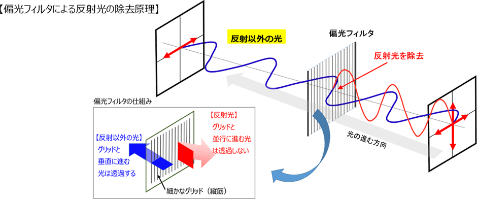 偏光フィルタによる反射光の除去原理